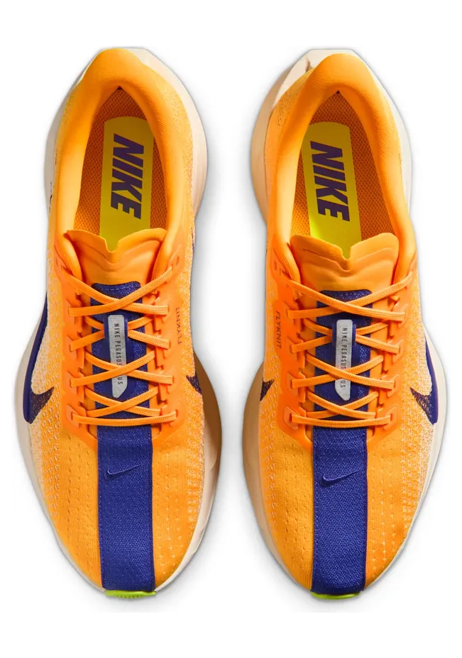 nike-air-pegasus FQ7262-801