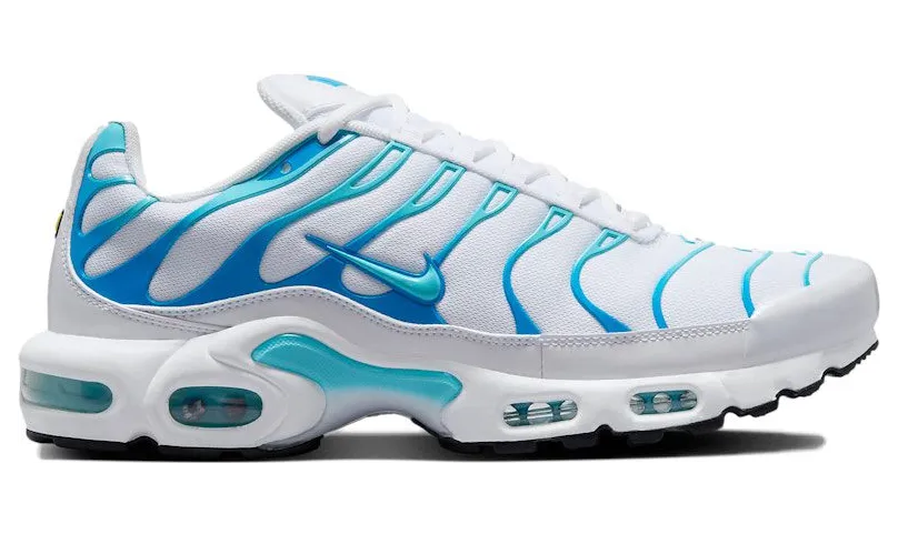 Nike Air Max Plus White Polarised Blue (604133-135)