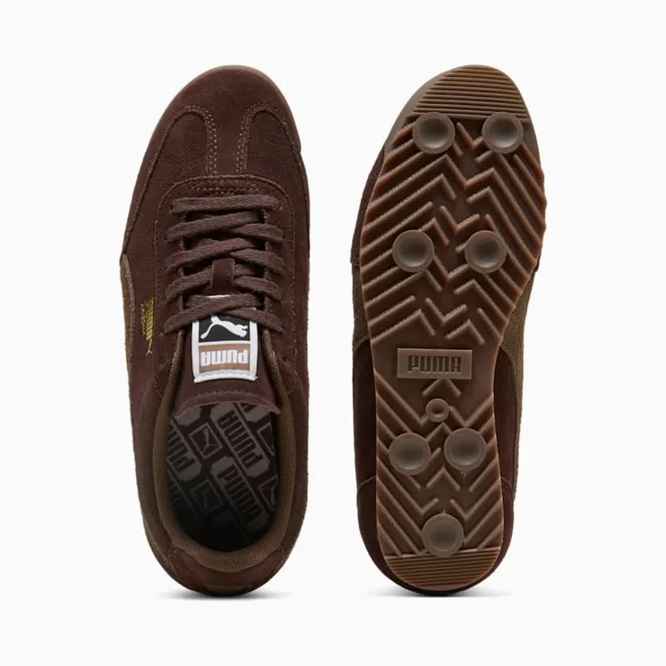 puma-arizona 402362-11
