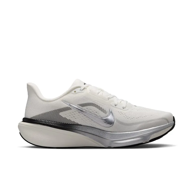 Nike Pegasus Summit White/Sail/Black/Metallic Silver (IR0298-100)