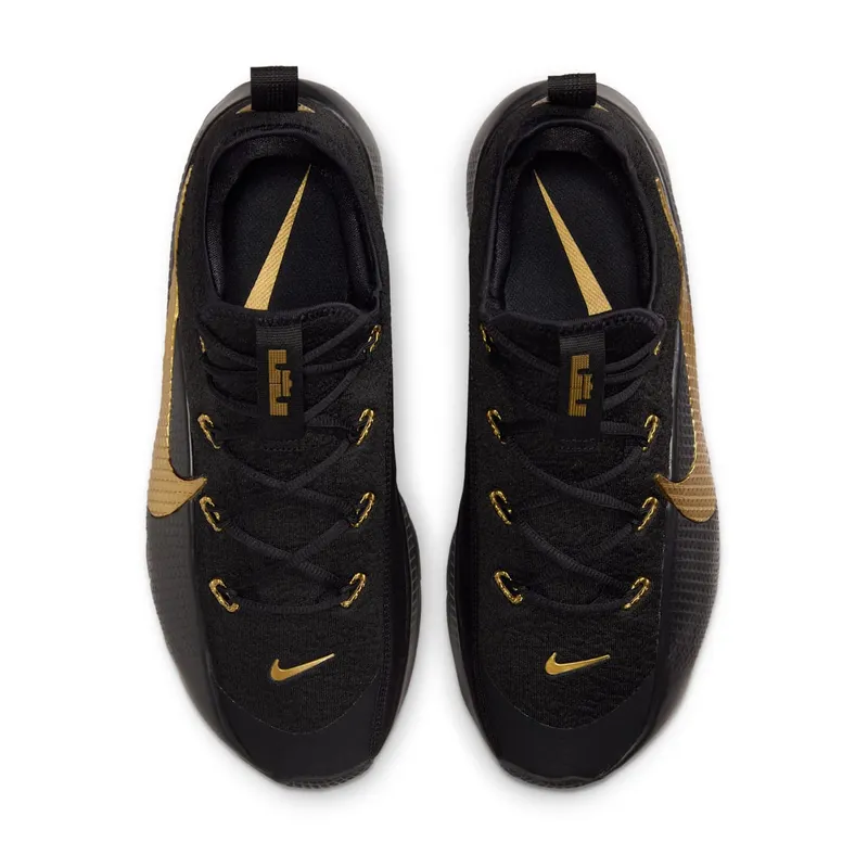 Nike LeBron TR 1 Black Metallic Gold (FJ6151-004)