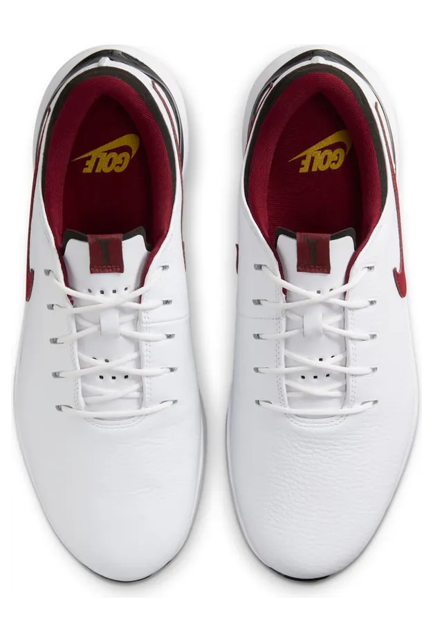 nike-air-zoom DX9025-104
