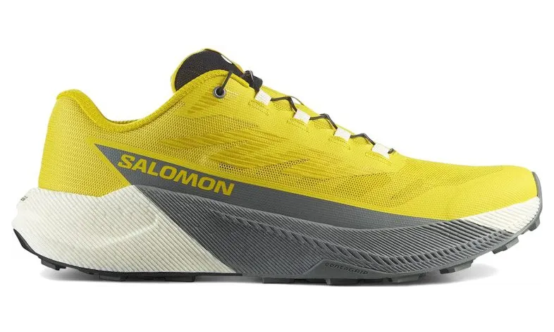 Salomon Pulsar Incaberry Sedona Sage (L47973200)