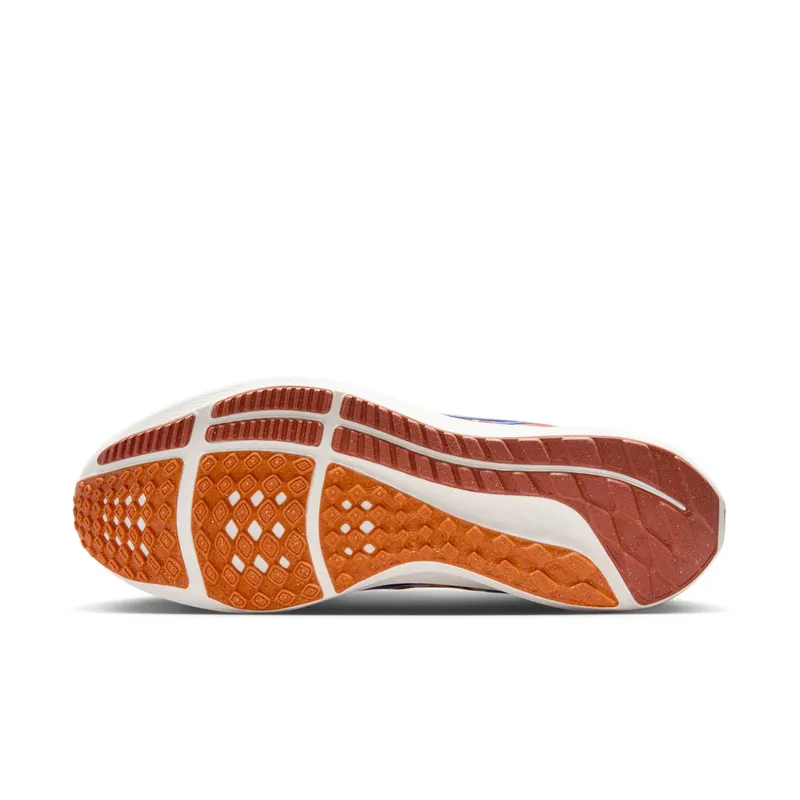 Nike Pegasus 40 PRM Blue Ribbon Sports (FQ7680-100)