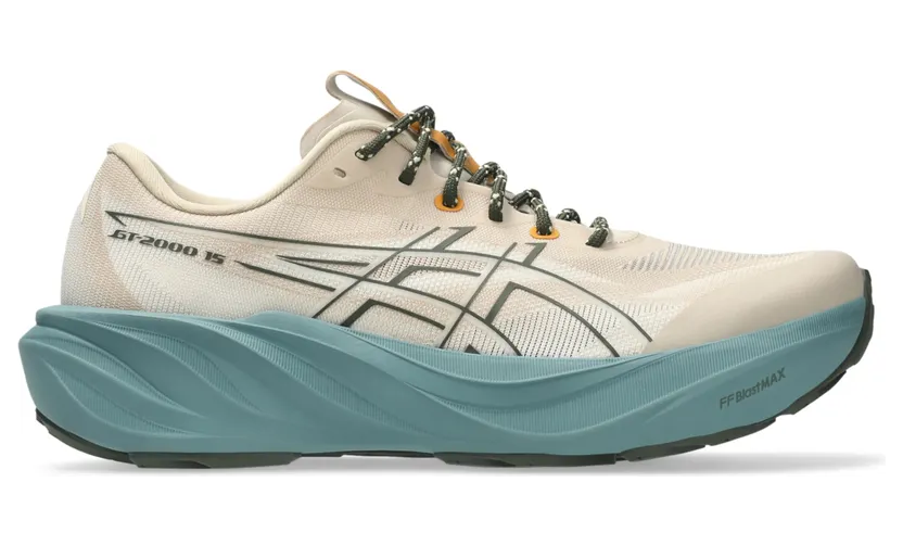 asics-gt-2000-2 1011C308-250