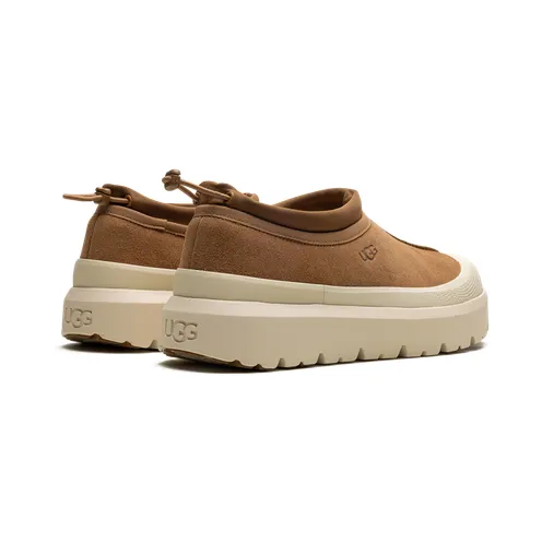 ugg-tasman 1144096-CWTC