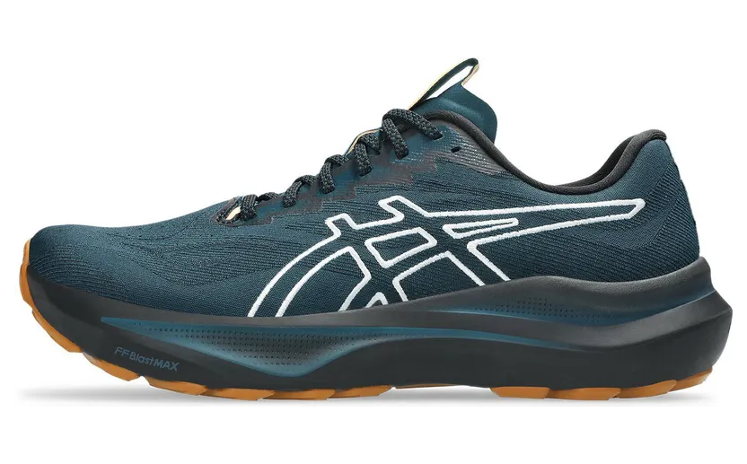 asics-gt-2000-2 1011C129-300