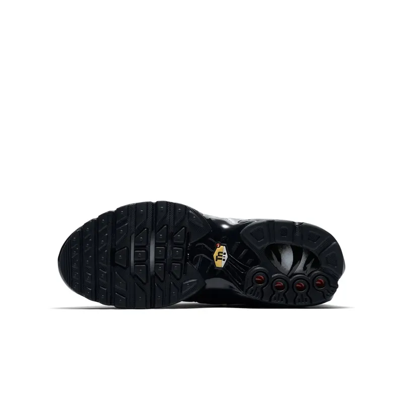 Nike Air Max Plus Black (GS) (655020-009)