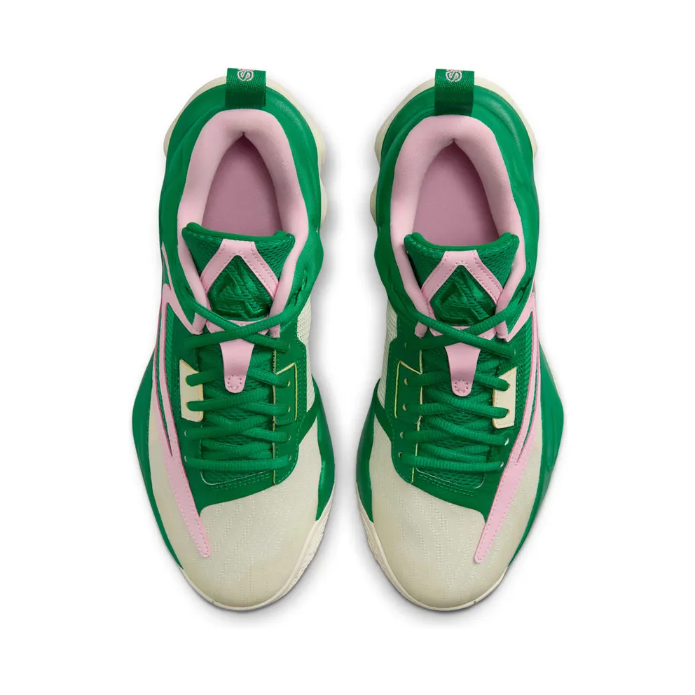 Nike Giannis Immortality 3 5 The Hard Way (DZ7533-300)