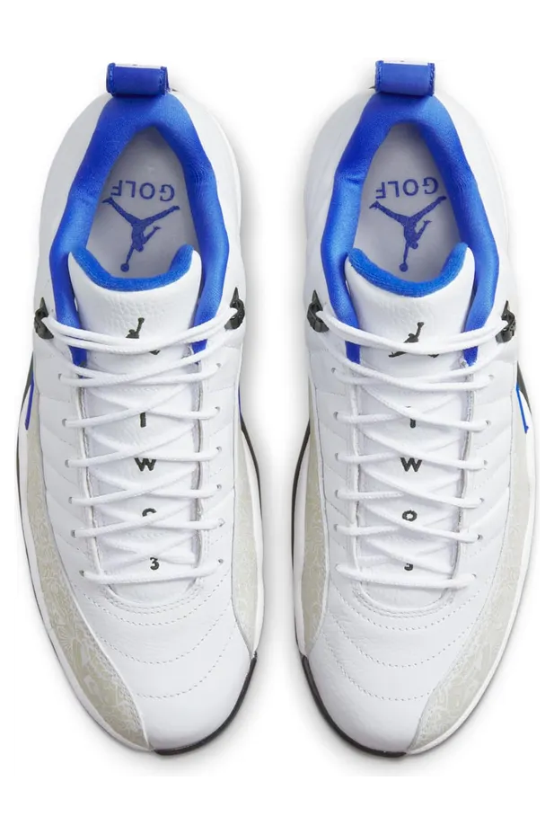 air-jordan-12 DM9015-105