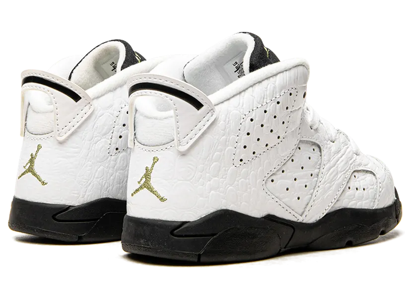 air-jordan-6 384667-110