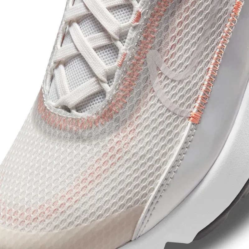 Nike Air Max 2090 Grey (CJ4066-014)