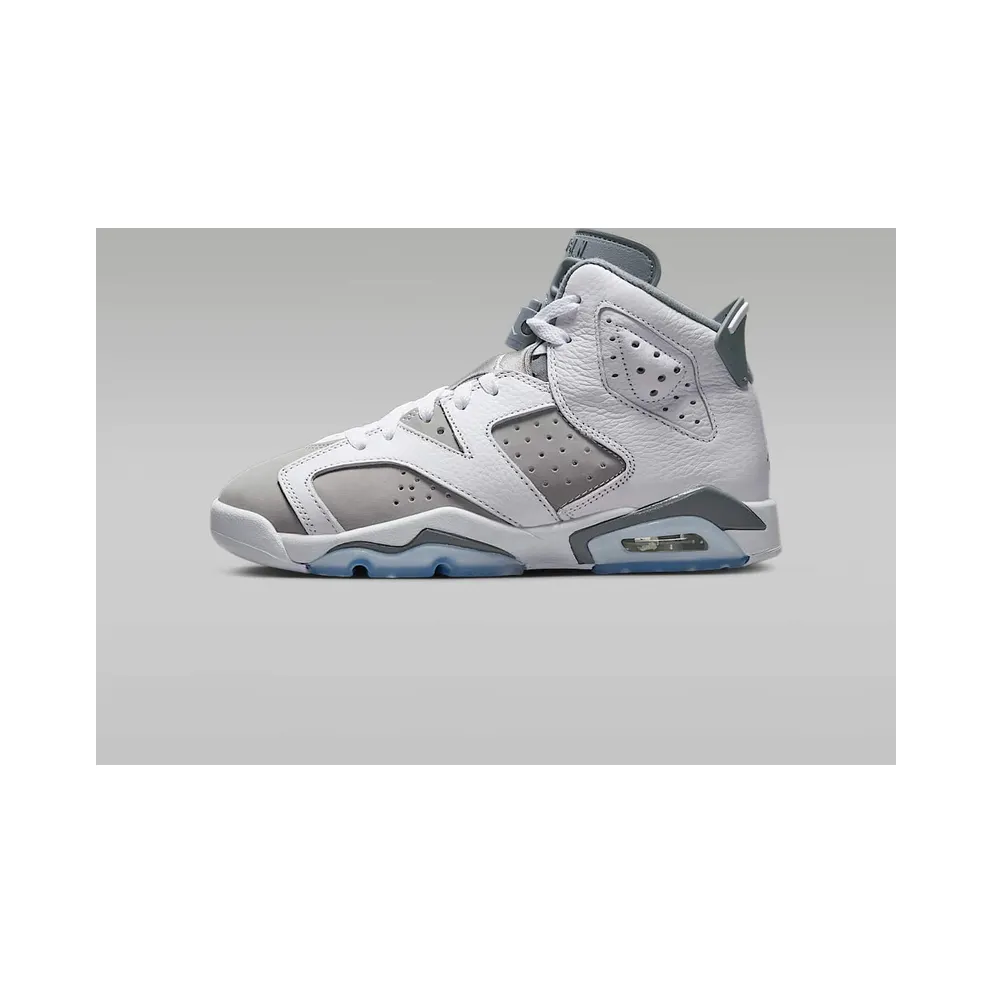 Air Jordan 6 GS “Cool Grey” (384665-100)