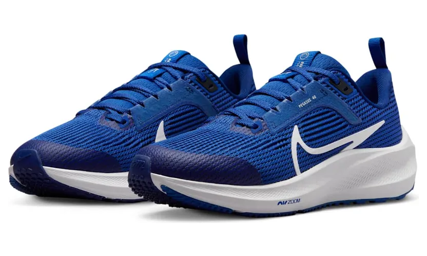 nike-air-pegasus DX2498-400