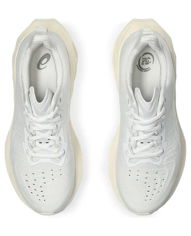 asics-novablast 1012B510.102
