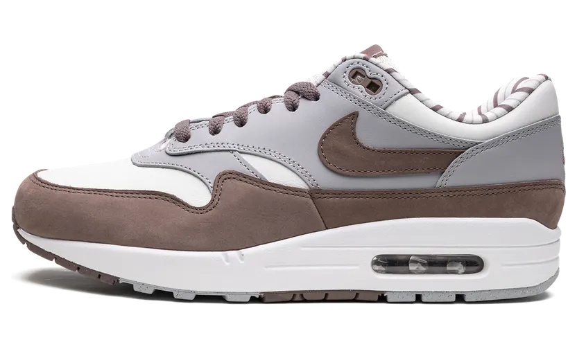 Nike Air Max 1 PRM Shima Shima (2023) (FB8916-100)