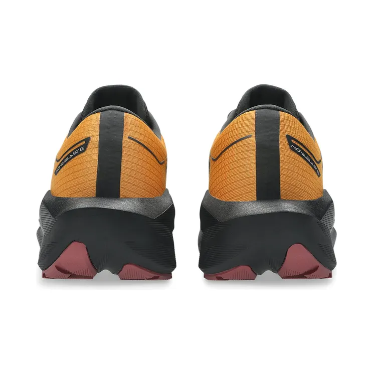 asics-novablast 1011C256800