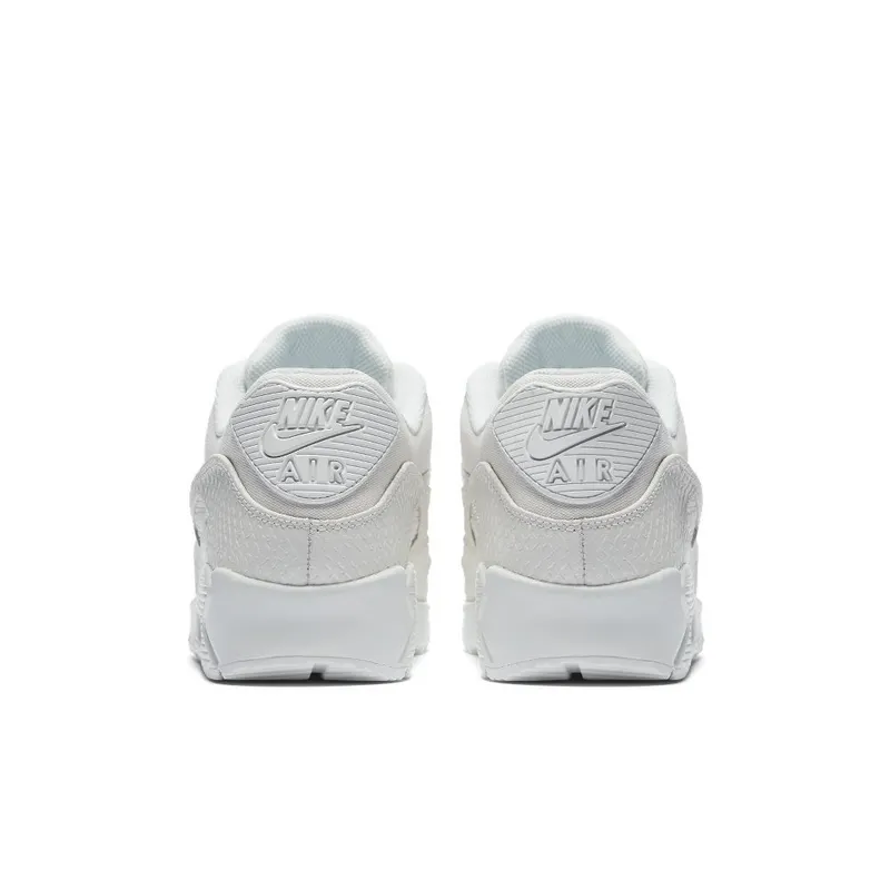 Nike Air Max 90 Summit White (700155-101)
