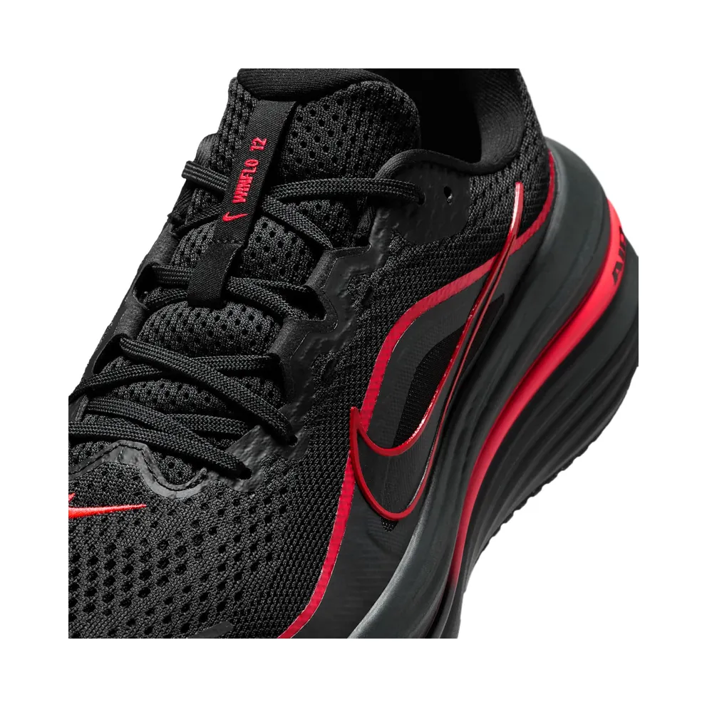 Nike Winflo 12 Black (HV9272-005)