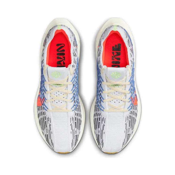 nike-air-pegasus DM3414-002