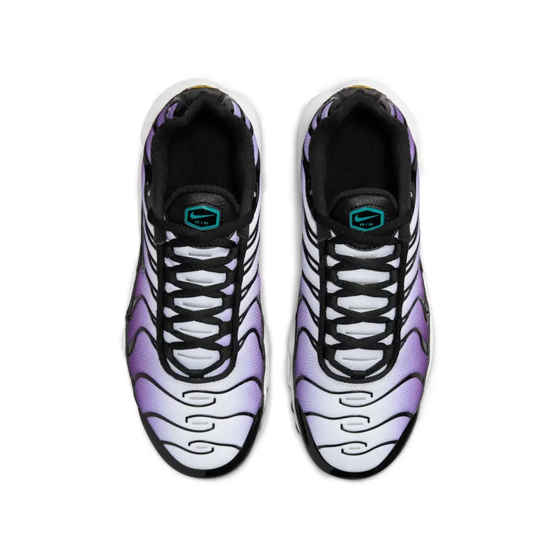 Nike Air Max Plus Reverse Grape (FQ2412-500)