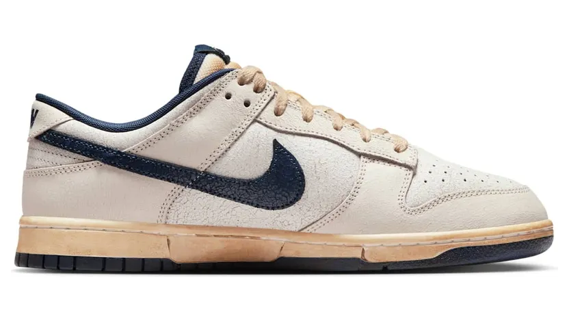 nike-dunk IH6766-001