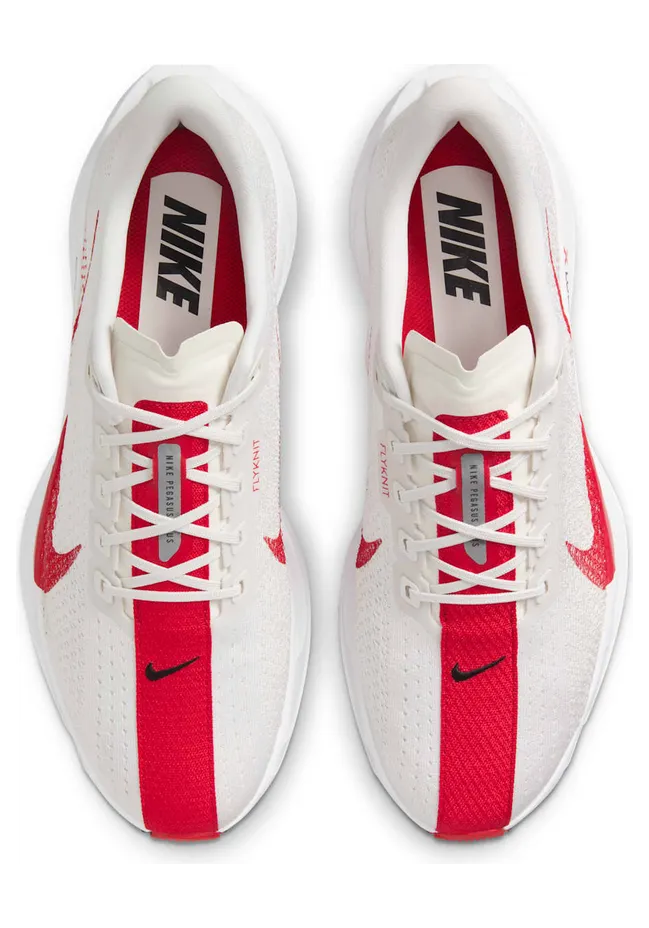 nike-air-pegasus FQ7262-003