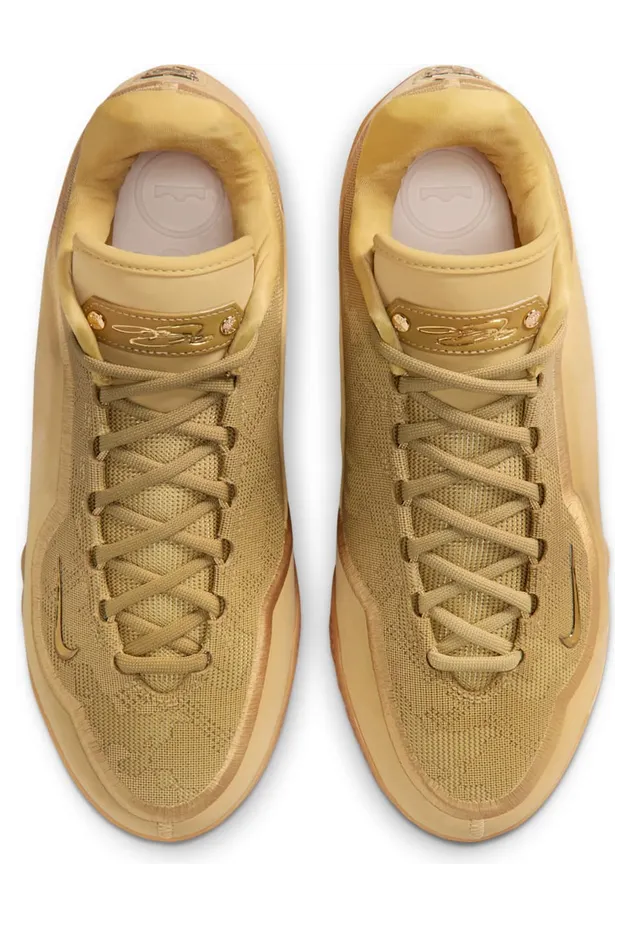 nike-lebron IH1513-701