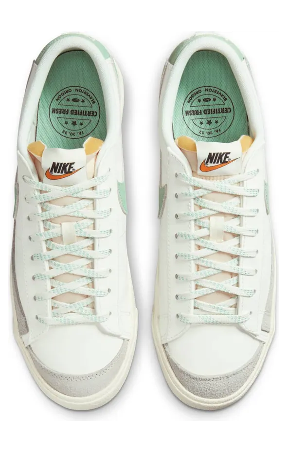 nike-blazer DO9799-100