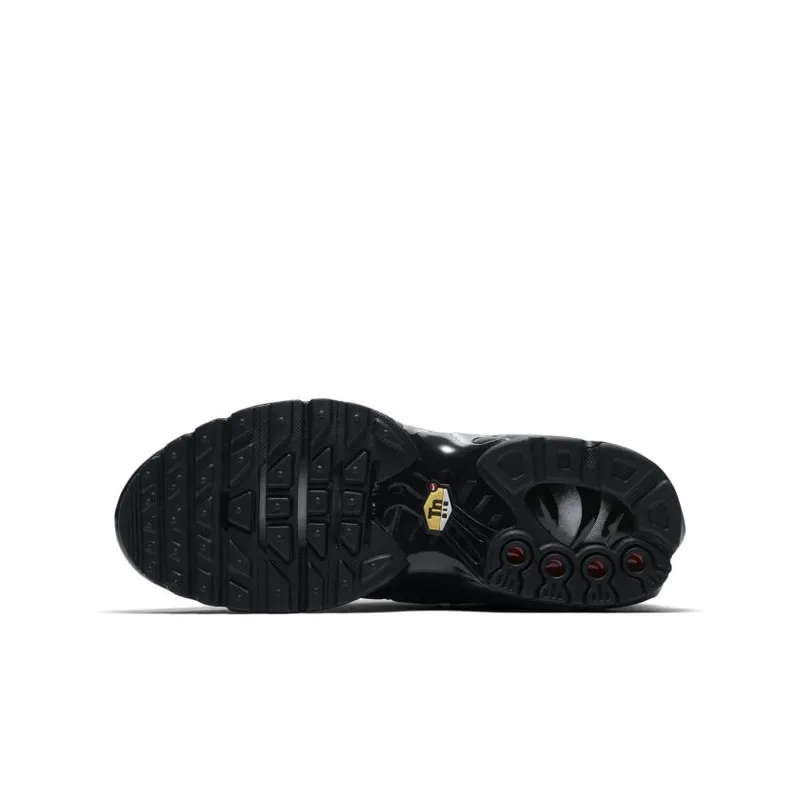 Nike Air Max Plus Black (GS) (655020-009)