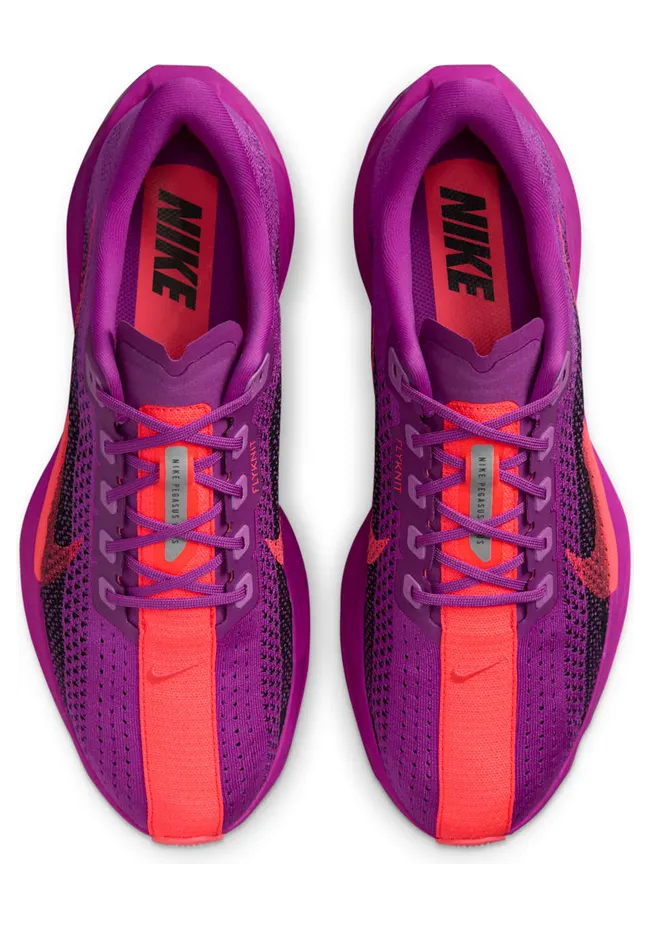 nike-air-pegasus FQ7262-500