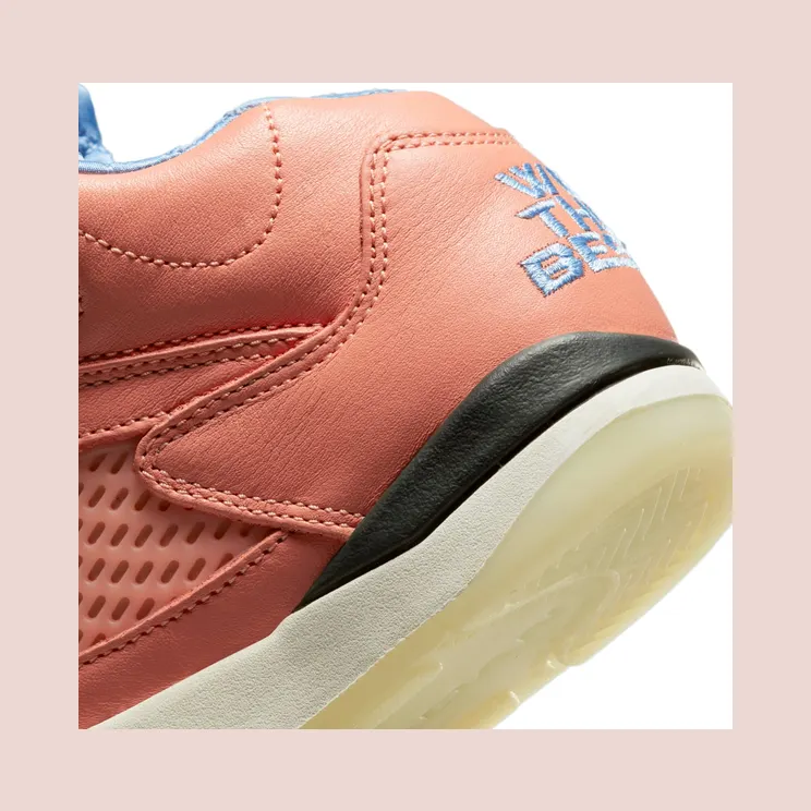 air-jordan-5 DV4980-641