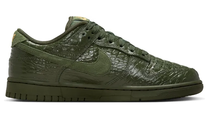 nike-dunk HV4388-300