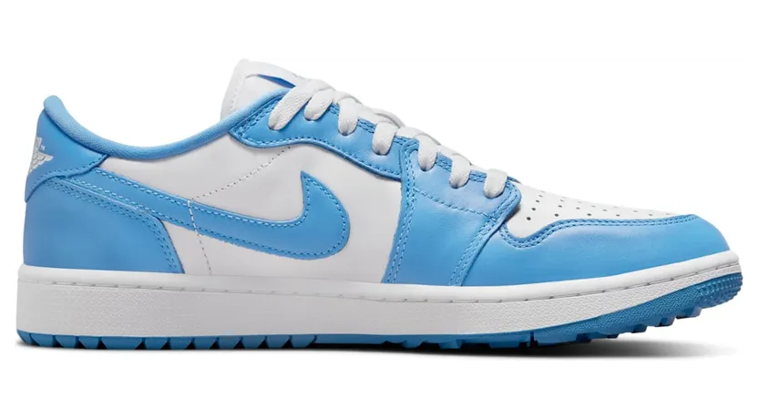 air-jordan-1 DD9315-100
