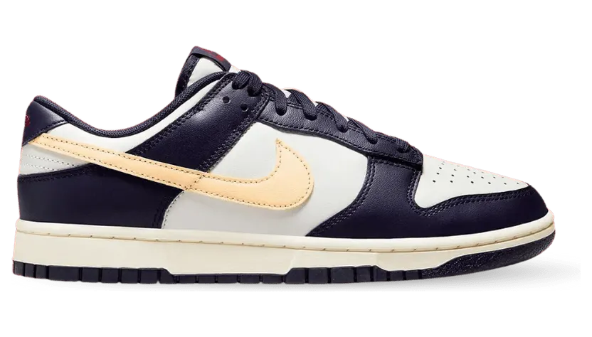 nike-dunk FV8106-181