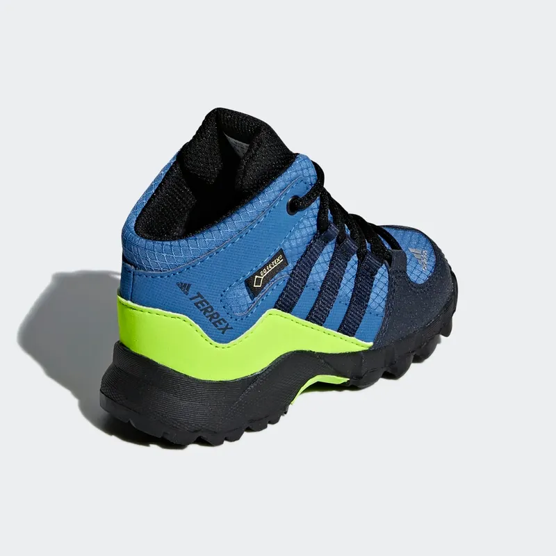 adidas Terrex Mid GTX Trace Royal / Collegiate Navy / Solar Slime (D97655)