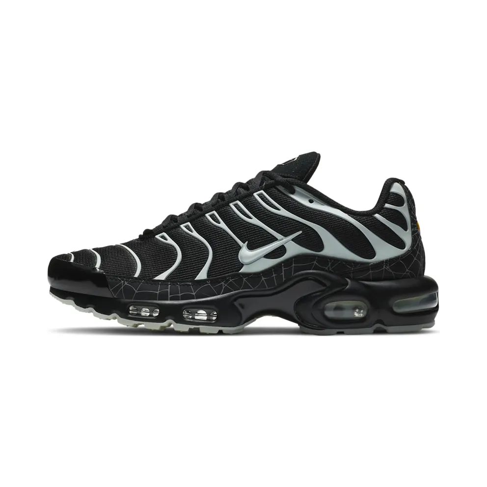 Nike Air Max Plus Schwarz (DD4004-001)