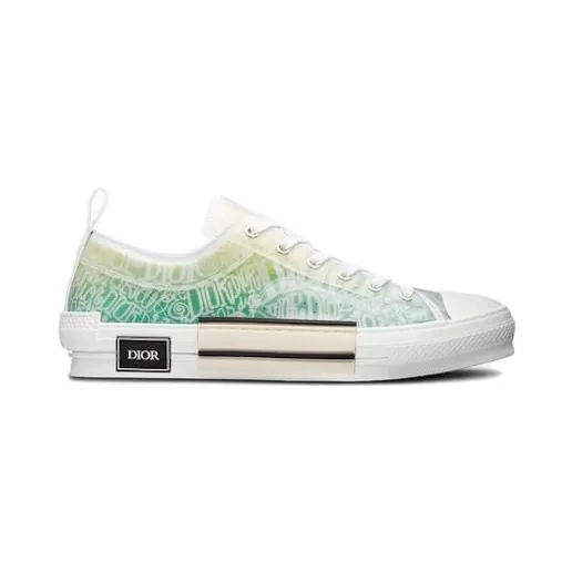 Dior And Shawn B23 Low Top