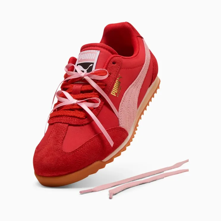 puma-arizona 407772-01