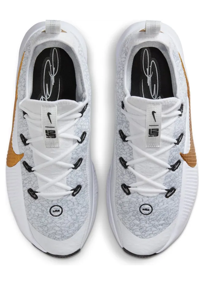 nike-lebron-tr-1 FJ6151-006