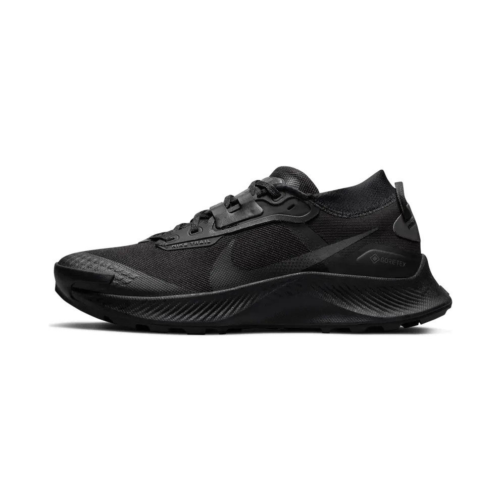 Nike Pegasus Trail 3 GORE-TEX wasserfester Trail-Laufschuh für Schwarz (DC8794-001)