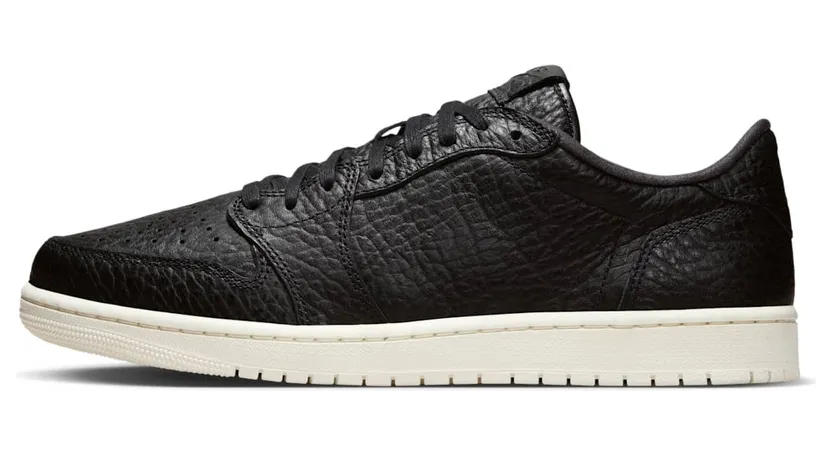 Jordan 1 Retro Low Swooshless Black (848775-005)