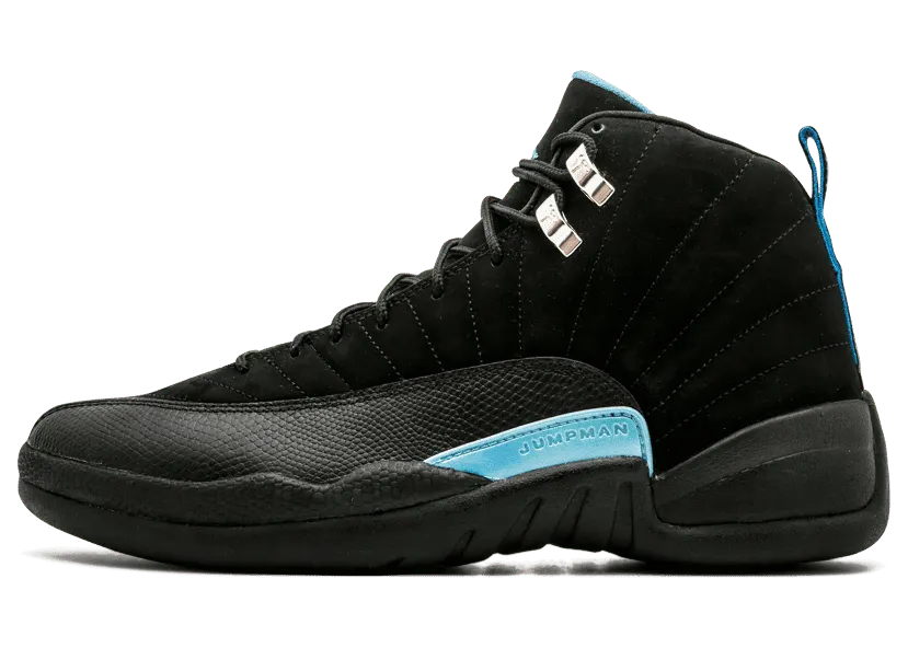 Jordan 12 Retro Nubuck (2009)