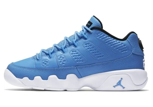 Jordan 9 Retro Low Pantone (GS)