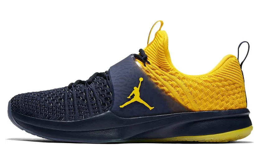 Jordan Trainer 2 Flyknit Michigan (921210-407)