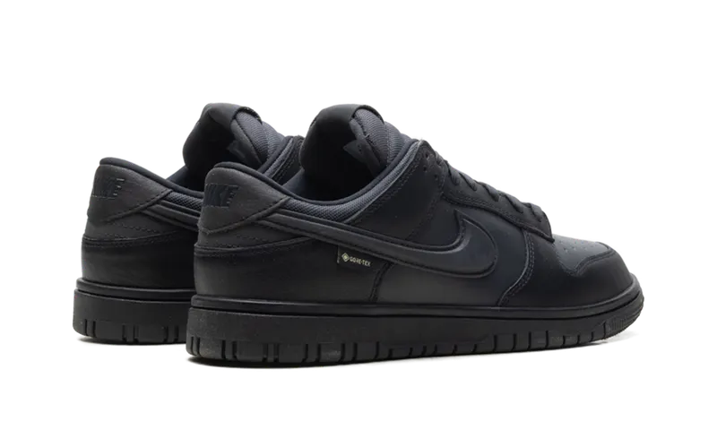 Nike Dunk Low Gore-Tex “Triple Black” (HQ2053-001)