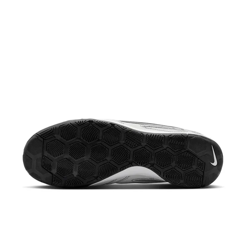 Nike Gato Grey Fog / White / Off White (HQ6020-007)