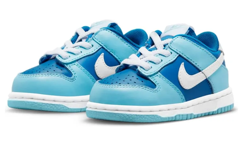 nike-dunk DV2634-400