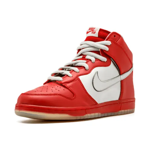 nike-dunk-sb 313171-002
