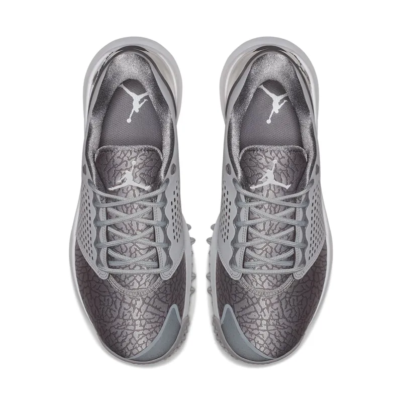 Jordan Trainer ST G Wolf Grey Wolf Grey/Gunsmoke-White (AH7747-001)